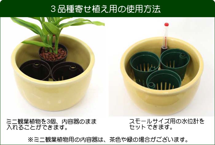 寄せ植え方法