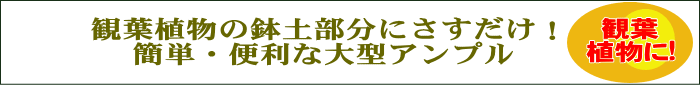 観葉植物用アンプル