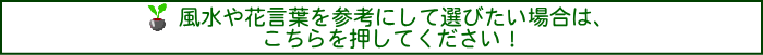 風水＆花言葉 別一覧