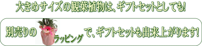 別売りのラッピングでギフトセットも出来上がります!