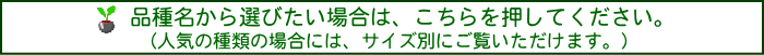 品種名から選びたい場合