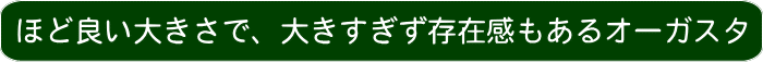 ほど良い大きさで、大きすぎず存在感もあるオーガスタ