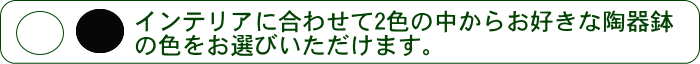 陶器鉢選択