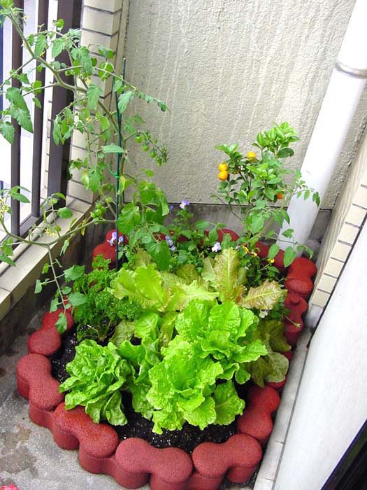 お好みの屋上庭園 屋上緑化 菜園を作ってみよう 観葉植物のブルーミングスケープ