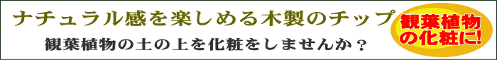 インテリア バーク