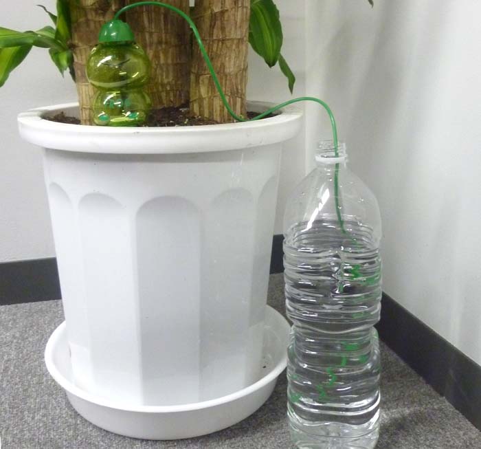 ブルーミングスケープ 水やり便利グッズ 水やり当番 カエル君 観葉植物 通販 販売