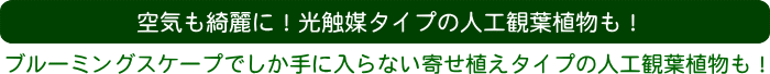 空気も綺麗に！光触媒タイプの人工観葉植物も！