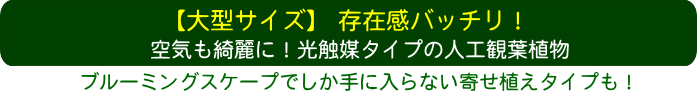 大型サイズ！光触媒タイプの人工観葉植物も！