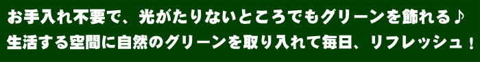 お手入れ不要のインテリア