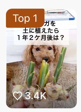 TikTok �t�̐V�����L�����y�[���ɂāA�P�ʂ��l��
