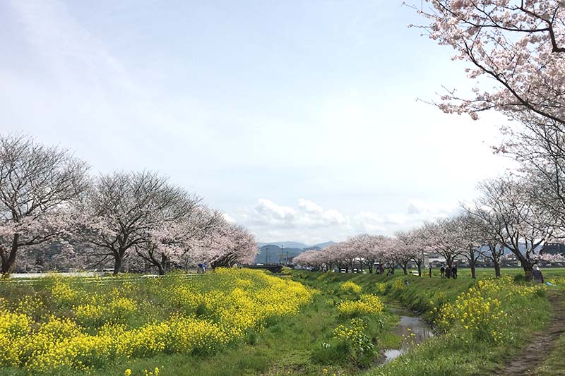 筑前町地域